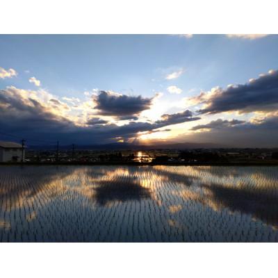 ふるさと納税 喜多方市 令和7年産　熱塩加納産いのちのお米 精米 5kg |  | 03