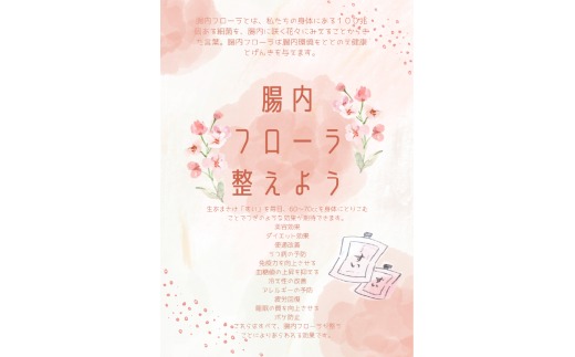 生あまさけ「すい」5個セット 大和高原醸造所 奈良県 奈良市 なら I-319