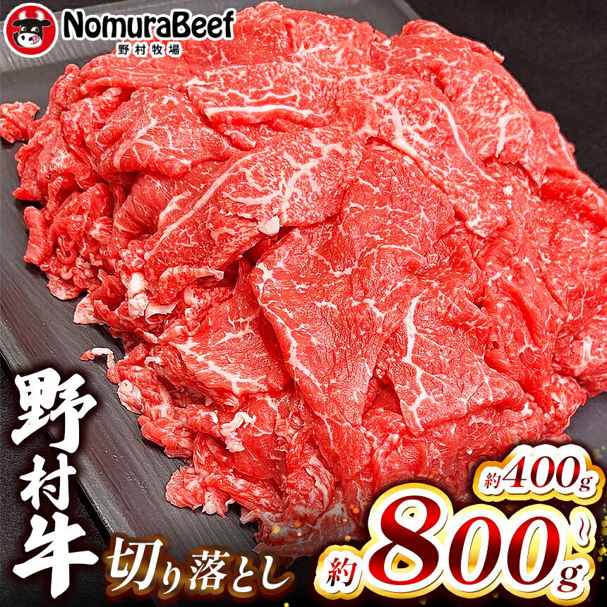 【ふるさと納税】栃木県 国産牛 野村牛 お得な 切り落とし 小分け 200g×2 200g×4 | 国産 F1 F1牛 牛肉 焼肉 とろける 霜降り 赤身 切り落とし 年末 しゃぶしゃぶ すき焼き 牛丼 ビーフカレー おすすめ 訳あり おすそ分け 送料無料 栃木県 下野市 しもつけ市