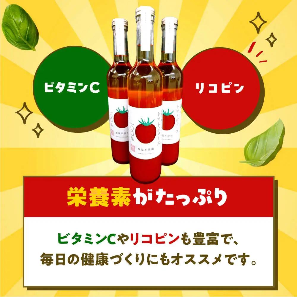 めぐみでぃトマト100%ジュース　500ml×3本　若狭の恵 小浜市 / 若狭の恵 [BFAG002]