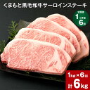 【ふるさと納税】【定期便】【1ヶ月毎6回】くまもと黒毛和牛サーロインステーキ 計6kg（1kg×6回） 牛肉 お肉 和牛 ステーキ 料理 冷凍 熊本県産 国産 九州 熊本県 菊陽町 送料無料