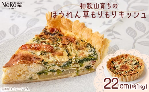 
            和歌山育ちのほうれん草もりもりキッシュ【1483746】
          