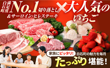 【R8年2月以降発送】【先行予約】【全6回定期便】赤白いちご3種と佐賀産和牛のセット / いちご 牛肉[IZZ023]