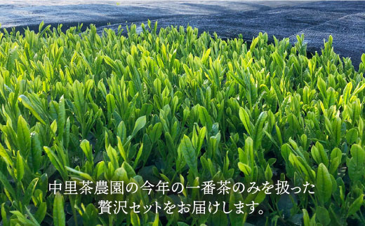 そのぎ茶 贅沢飲み比べセット (萌90g/啓90g/ティーバッグ3g×12個) 東彼杵町/中里茶農園 [BCH001] 茶 お茶 緑茶 日本茶 玉緑茶 茶 お茶 緑茶 日本茶 玉緑茶 茶 お茶 緑茶 