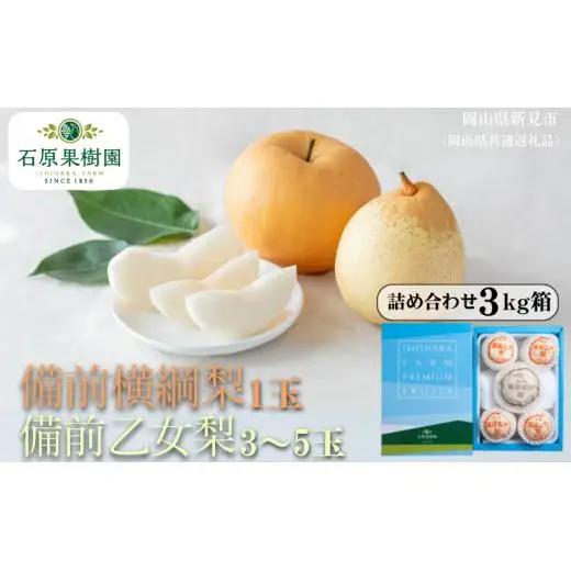 詰め合わせ 3㎏箱 赤秀 備前横綱梨1玉(1～1.5㎏玉)・備前乙女梨３～5玉 【先行予約 2026年11月中旬から順次発送】