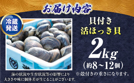 7月中旬以降順次発送！厚真町近海の活ほっき貝 2kg（約8-12個）【鵡川漁業協同組合】 ほっき ほっき ほっき ほっき ほっき ほっき  [AXAL005]