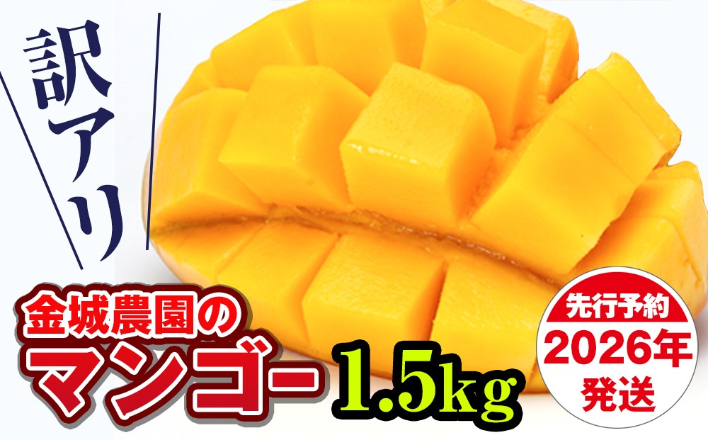 
                  【訳あり】2026年発送　金城農園のマンゴー1.5kg
                