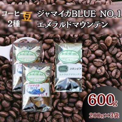 ふるさと納税 伊勢原市 コーヒー豆3袋(ジャマイカBLUE/エメラルドマウンテン)
