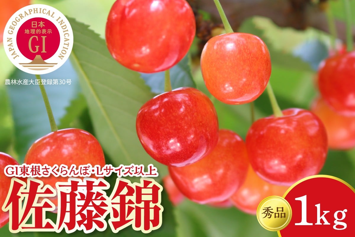 
            【2026年産】 GI東根さくらんぼ「佐藤錦」 秀品 Lサイズ以上 1kgバラ詰め（500g×2パック） 山形県 東根市 フルーツピッカー提供 hi097-014
          