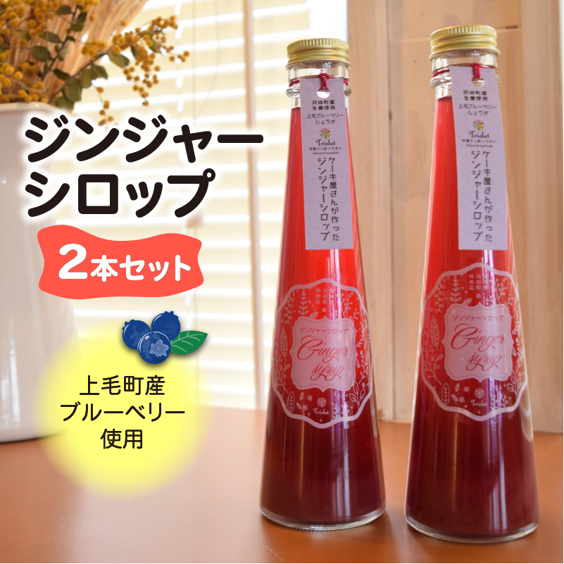【上毛町産ブルーベリー使用】ジンジャーシロップ 2本セット　KT0502