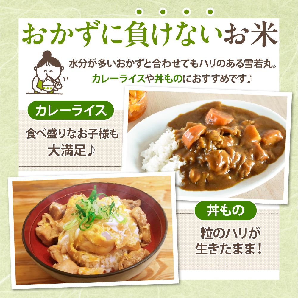 【令和6年産米 先行予約】☆2025年3月後半発送☆ 雪若丸 5kg（5kg×1袋）山形県 東根市産　hi003-118-033