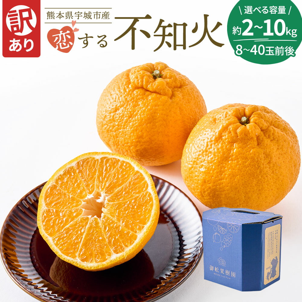 【ふるさと納税】 先行予約 訳あり 不知火 恋する不知火 選べる容量 （約2kg/7.5kg/10kg） 8〜40玉 【2026年4月上旬から2026年6月下旬発送予定】　わけあり 不揃い しらぬい 柑橘 宇城市 熊本県産 御舩果樹園