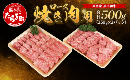 球磨産 黒毛和牛 ロース 焼き肉用 500g（250g×2パック） サーロイン スライス【 小分け 牛肉 ロース 和牛 国産 軟らかい 旨味たっぷり 焼き肉 JA 】011-0065-0