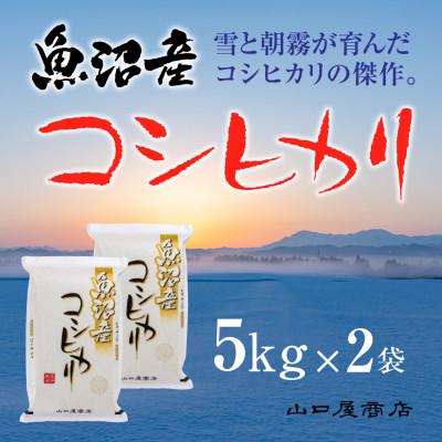 ふるさと納税 十日町市 【令和7年産】【厳選☆十日町育ち】 魚沼産コシヒカリ　5kg×2袋