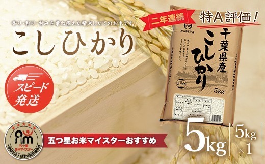 
                  令和8年産 2年連続特A評価!千葉県産コシヒカリ5kg（5kg×1袋） ふるさと納税 米 5kg 千葉県産 大網白里 コシヒカリ 精米 こめ 送料無料 E006
                