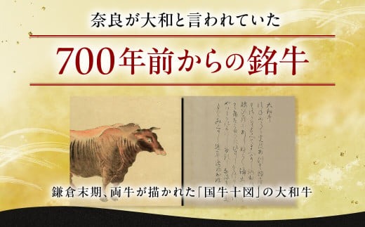 牛肉 ヒレ 大和牛 ヒレステーキ 用 ステーキ【年末年始12月26日?1月7日の着日指定不可】 大和牛専門店 一 F-33