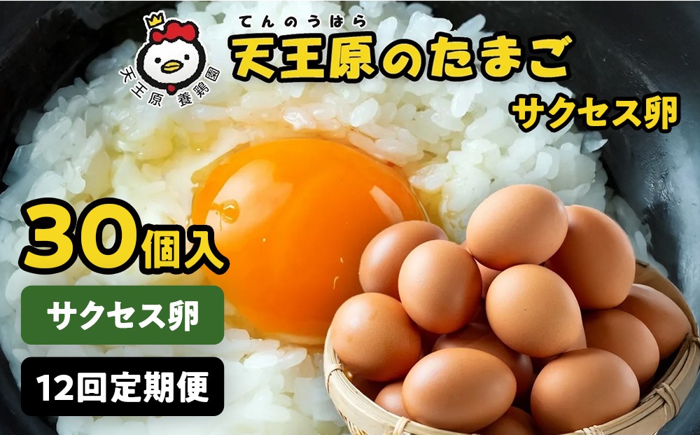 【定期便】１２回定期【天王原のたまご】サクセス卵 30個入り