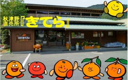 俺ん家の梅ジュース500ml×12本セット / 和歌山 和歌山県産 田辺市 紀州南高梅 南高梅 梅 梅ジュース なつかしい【ktr017-2】