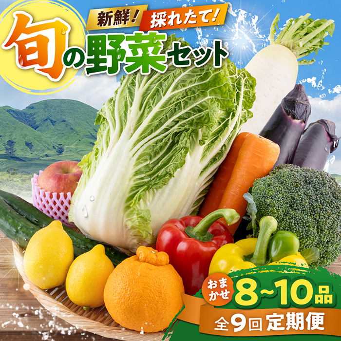 【全9回定期便】旬な野菜おまかせ詰め合わせセット【合志物産販売 志来菜彩】 [AYCA005]