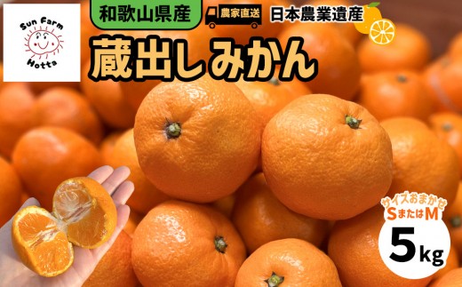 和歌山県産 下津蔵出しみかん 家庭用 5kg (サイズおまかせSまたはMのいずれか) 農家直送 手選別
