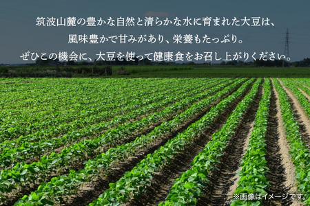極小粒　大豆 5kg  岡田ファーム だいず ダイズ 国産 小粒 料理 煮豆 豆乳 納豆 用途多彩 健康食品 高たんぱく 保存食 産地直送 送料無料 (B02-024)