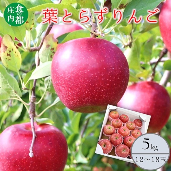 
                  食の都庄内　葉とらず赤りんご　約5kg　※10月中旬頃から順次配送
                
