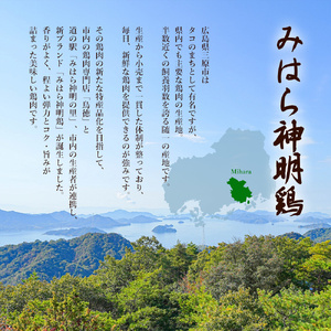 【期間限定・先行受付】クリスマスにオススメ☆鶏肉専門店の「丸焼きローストチキン（みはら神明鶏）」 11月24日まで受付 肉 加工品 鶏肉 チキン モモ ムネ ササミ 手羽先 手羽元 1羽 まるごと ク