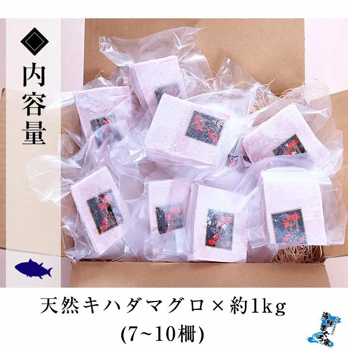 まぐろ！キハダマグロ 約1kg（100g×7-10柵）天然【00-041-01】