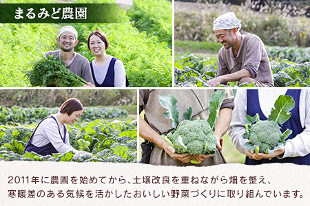 『定期便』全3回 野菜セット 詰め合わせ まるみど農園の季節のお野菜便 隔月 9種類 旬 農家直送 国産 送料無料_MA105_001s3