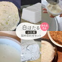 【ふるさと納税】白ほたる豆腐店のお豆腐詰め合わせセット　【 豆腐 豆乳 もめん豆腐 寄せ豆腐 黒ごま寄せ豆腐 免疫トロわかめ寄せ豆腐 アマニ寄せ豆腐 】