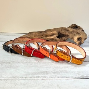 選べるサイズの 本革 犬 ・ 猫用 首輪 (15mm幅) 小型 / 中型 / 大型 【イタリア革ブッテーロ】 ブッテーロ サイズ：M
カラー：黄