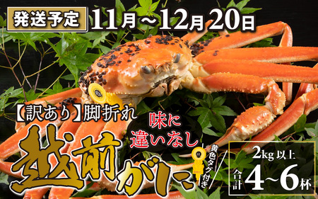 【訳あり】越前がに 4～6杯 （合計2kg以上） 脚折れ【順次発送中】