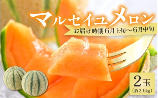 【先行予約】マルセイユメロン 2玉  約2.6kg以上（約1.3kg以上×2玉）大人気の赤肉品種！高級メロンの味わい ／ 果物 フルーツ ギフト 農家直送 ※2027年6月上旬以降順次発送 [aw065-a005]