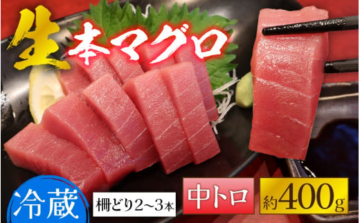 
【冷蔵・指定日着可】生本マグロ中トロ 約400g 3～4人前 【 まぐろ 鮪 さく 柵どり 冷蔵 真空パック ヘルシー 】 [B-066006]
