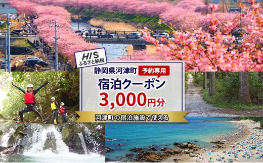 
                  HISふるさと納税宿泊予約専用クーポン（静岡県河津町）3,000円分
                