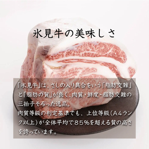 お肉屋さんの氷見牛カレー３個入