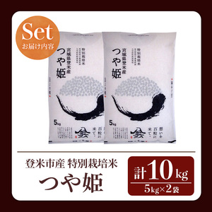 ＜先行予約！2025年10月以降順次発送予定＞≪令和7年産 新米≫ 特別栽培米 つや姫 10kg (5kg×2袋)  登米市産 お米 おこめ 米 コメ 白米 ご飯 ごはん おにぎり お弁当 【登米ライ