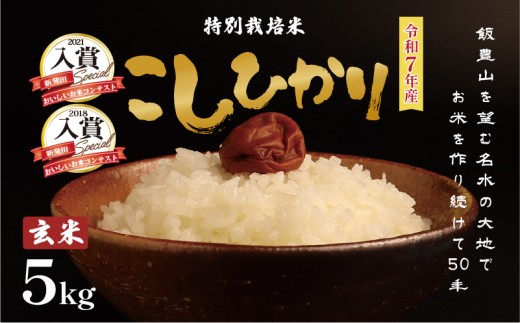 令和7年産 特別栽培米 コシヒカリ 玄米 5kg （5kg×1袋） 特栽米 新潟県産コシヒカリ 新潟米 新発田産 新潟 米 させ農園 新潟県 新発田市 sase004_01