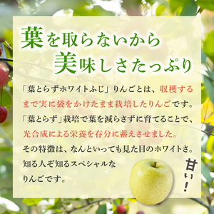 【2025年12月後半発送】【訳あり】葉とらずホワイトふじ5kg
