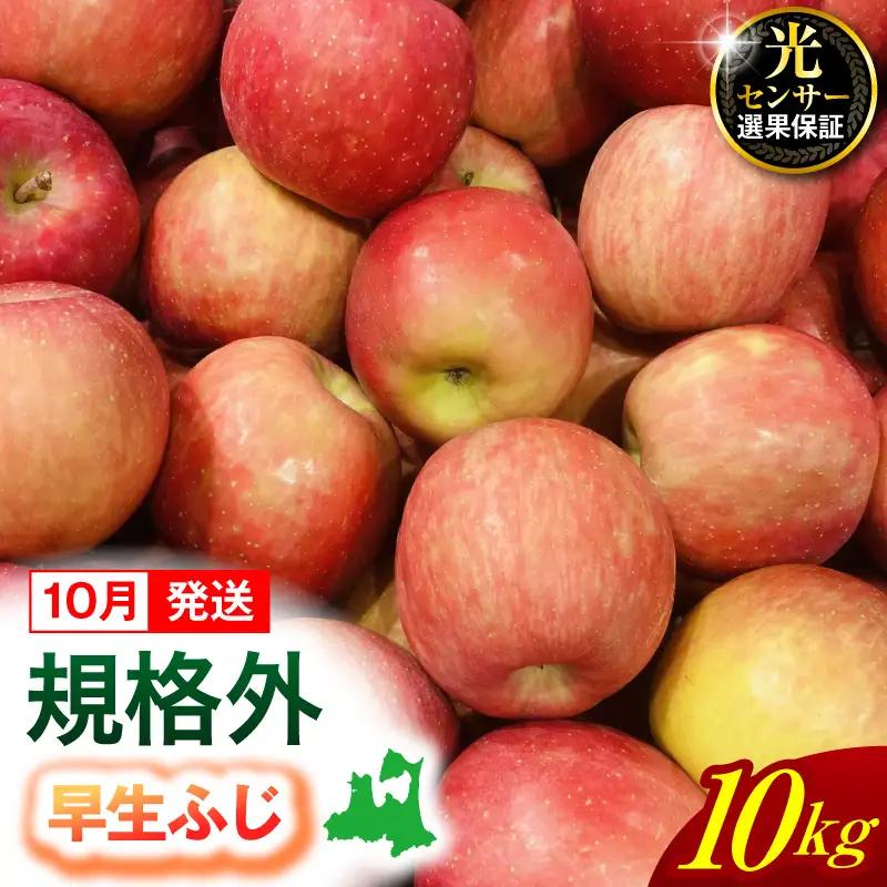 【2026年10月発送】【規格外】 りんご 約10kg 早生ふじ 《 光センサー選果保証 》 青森県産 りんご フルーツ