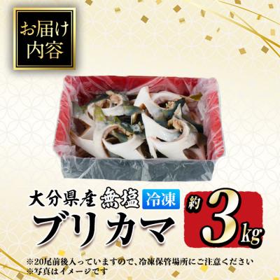ふるさと納税 佐伯市 ＜訳あり＞無塩ブリカマ(約3kg) |  | 01