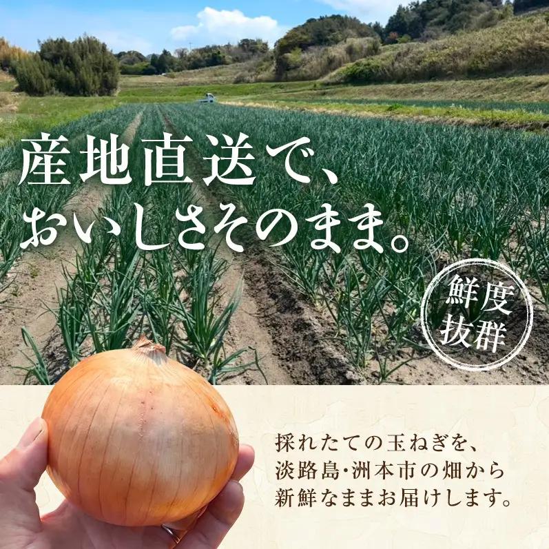 玉ねぎ 淡路島産 10kg スープ 肉じゃが 玉ねぎ