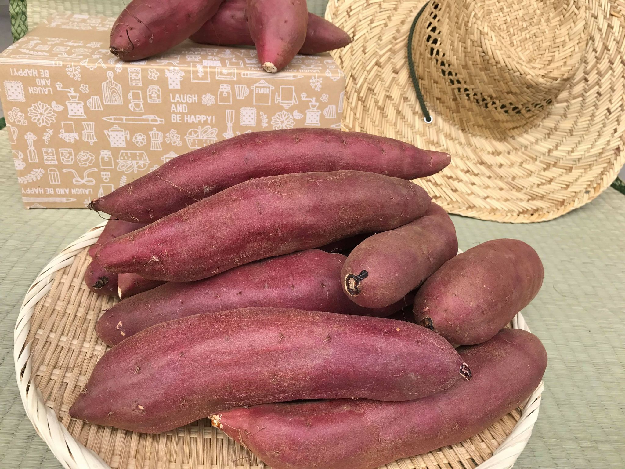 【ふるさと納税】 【先行予約】【令和8年12月～発送】 さつまいも 紅はるか 10kg 生芋 【茨城県共通返礼品・行方市産】 送料無料 焼芋 焼き芋 焼きいも やきいも さつま芋 紅はるか 期間限定 常温発送 行方台地 茨城県 鹿嶋市