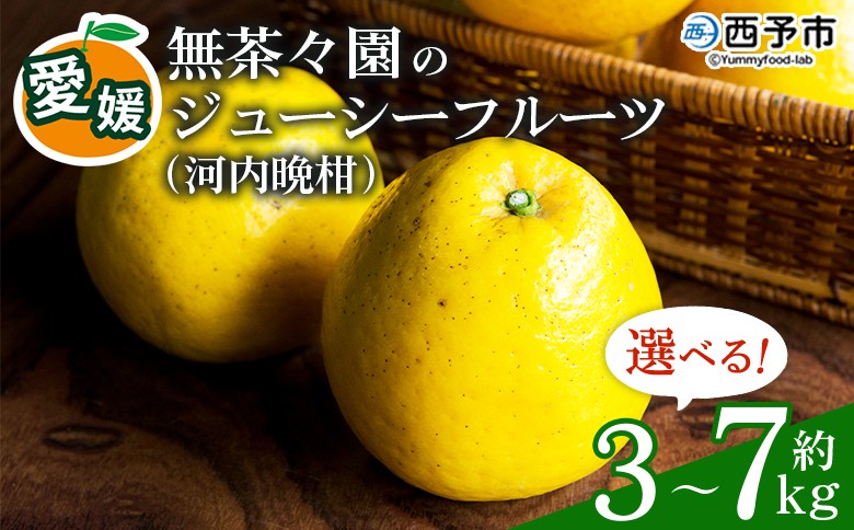
                  無茶々園のジューシーフルーツ（河内晩柑）約3kg／7kg　果物 フルーツ 選べる内容量 かわちばんかん みかん ミカン 蜜柑 柑橘 期間限定 季節限定 食べて応援 特産品 愛媛県 西予市 【常温】
                