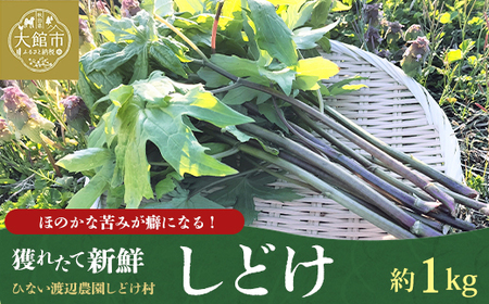 しどけ（モミジガサ） 約1000g 瑞々しい山菜の女王【300P3202】