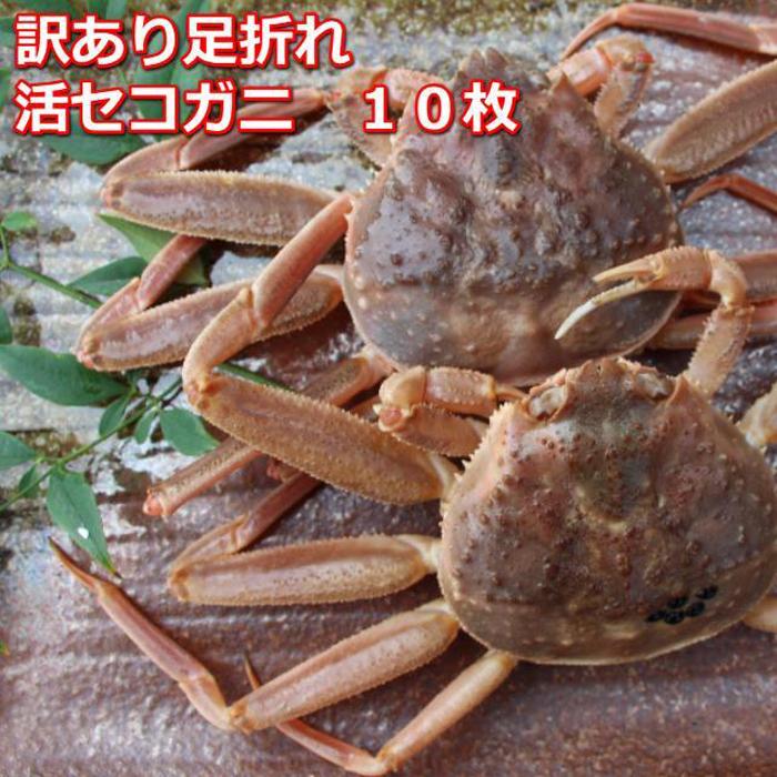【ふるさと納税】【先行予約】活き訳あり足折れご自宅用　日本海産親ガニセコガ二10枚MK15 | 国産 訳あり ズワイガニ 松葉ガニ カニ 蟹 かに 生 カニ鍋 かに鍋 鍋 かにしゃぶ かにみそ 期間限定 送料無料 鳥取県 三朝町