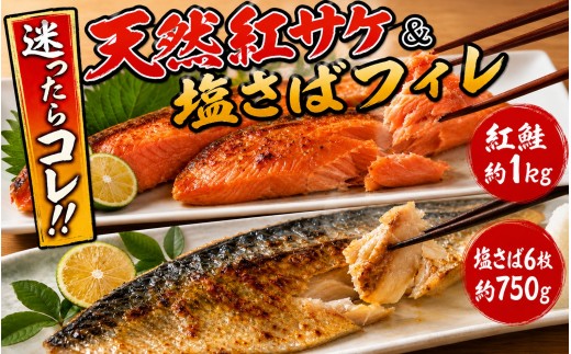 迷ったらコレ！！魚鶴商店の天然紅サケ１ｋｇ & 塩さばフィレ６枚セット【uot744B-1】