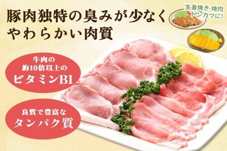 肥前さくらポーク詰合せCセット(さくらポークとんかつ5枚・生姜焼き500g・焼肉用300g)【JA トンカツ 生姜焼き 美味しい やわらか ジューシー 安全 高品質 ビタミン タンパク質豊富 限定生産