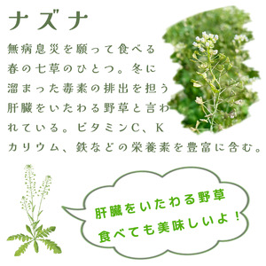 薬草膳処じゅん庵　野草クッキー「キャロット姫とナズナ王子」(55g × 20袋)