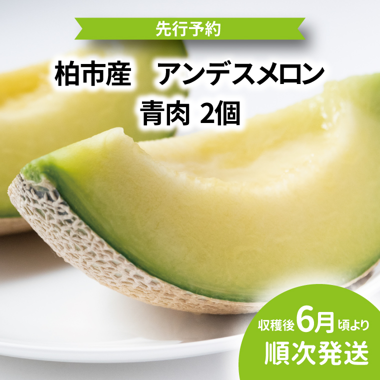 AF-64 柏市産　アンデスメロン　2個
